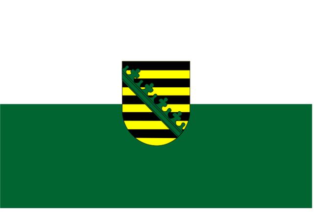 Flag of Saxony vector image