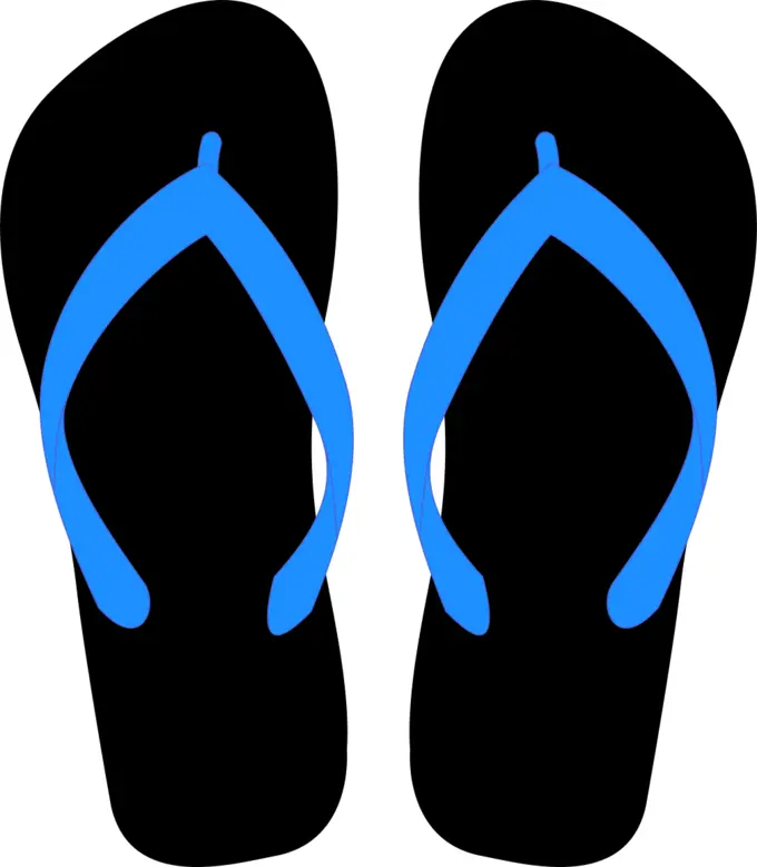 Flipflops vector graphics