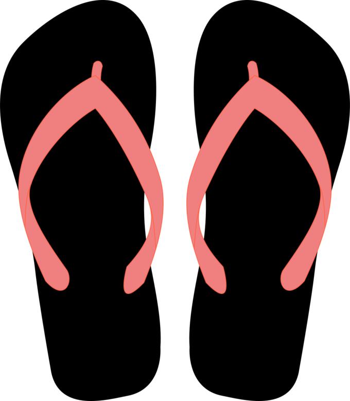 Flipflops vector image