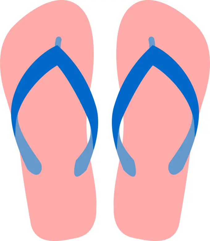 Flipflops vector clip art