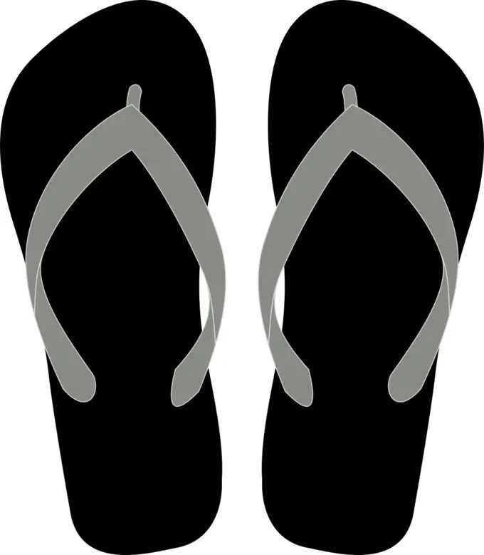 Flipflops vector image