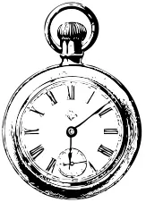 Pocket watch vector image