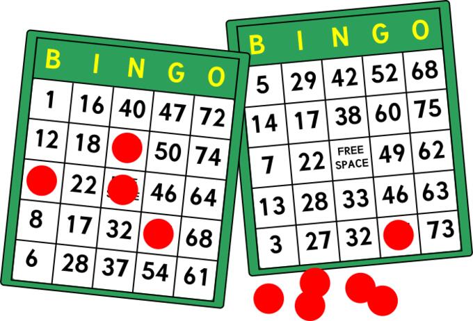 Bingo cards vector image