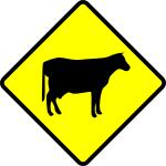 Cows crossing caution sign vector image