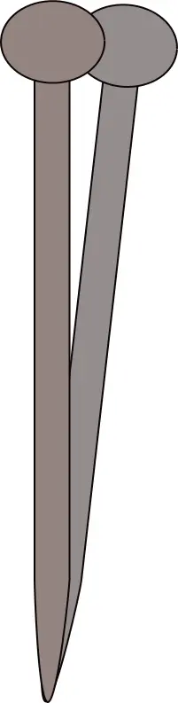 Two nails vector image