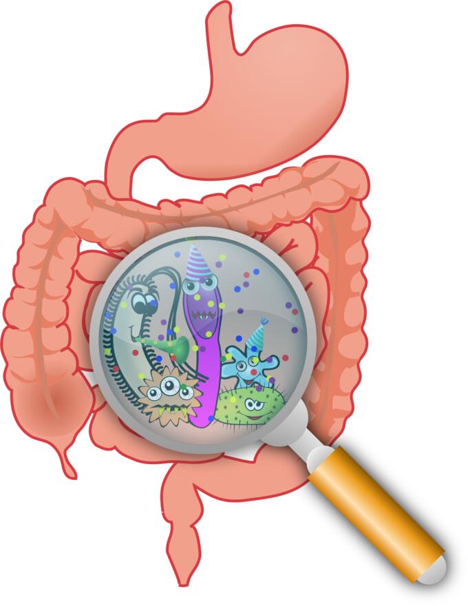 Party in the intestines vector illustration