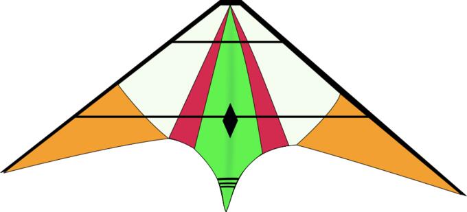 Kite vector image