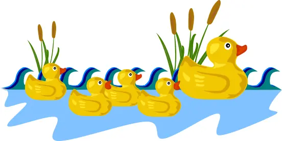 Rubber duck family vector drawing
