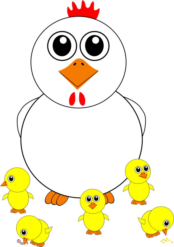 Cartoon chicken and chicks vector illustration