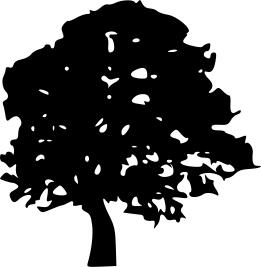 Tree silhouette vector graphics