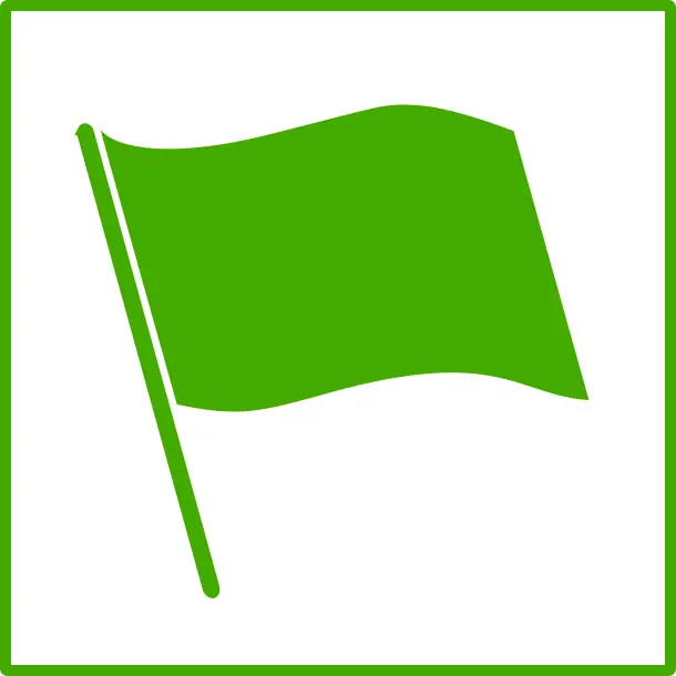 Eco flag vector icon