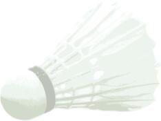 Vector graphics of badminton ball