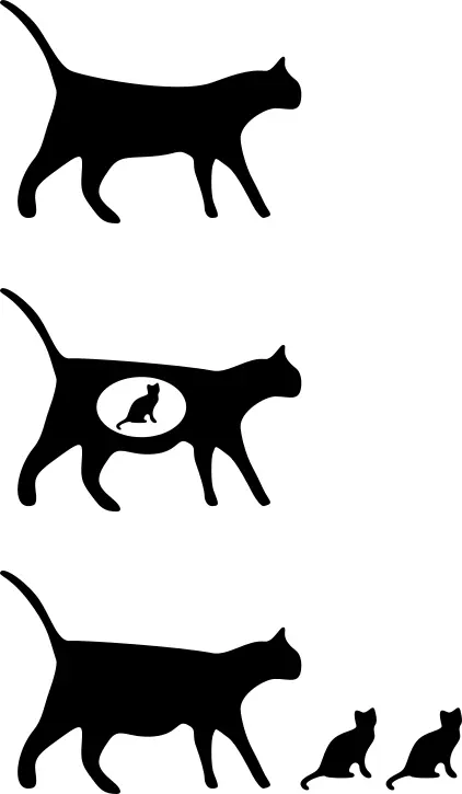 Cat vector icons