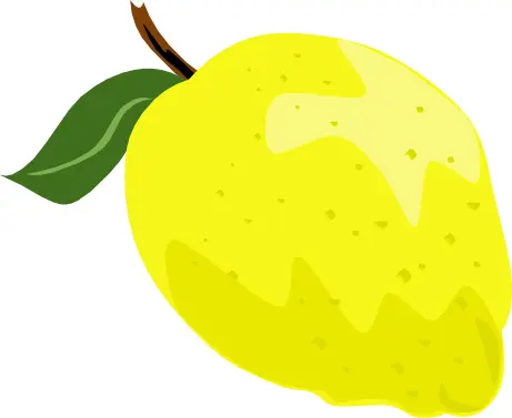Lemon or lime vector graphics with leaf