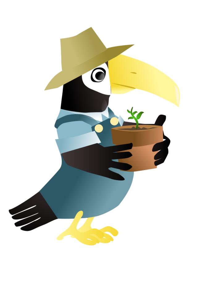 Vector image of parrot with hat