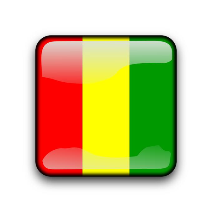 Guinea country button
