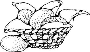 Basket of buns vector image