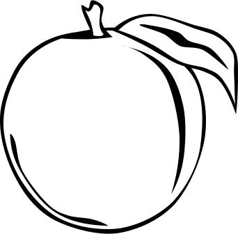 Peach vector clip art