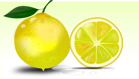 Lemon vector image