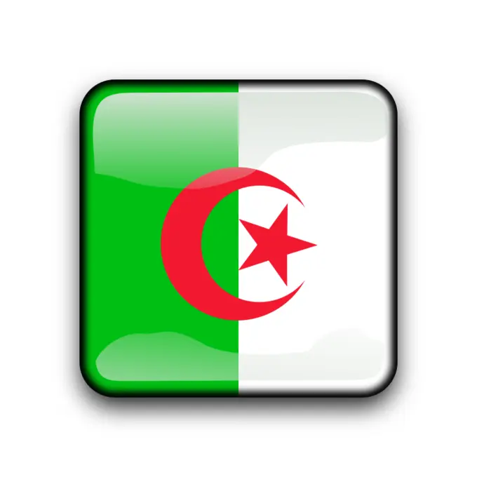 Glossy Algerian vector flag