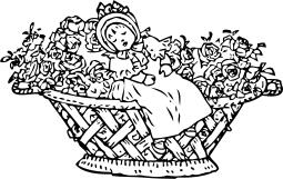 Vector illustration of baby in rose basket