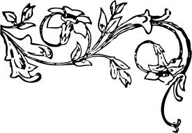 Floral decoration vector image