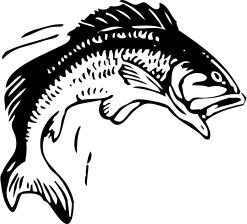 Jumping fish vector image