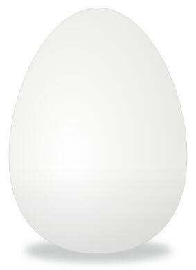 Vector illustration of whole egg