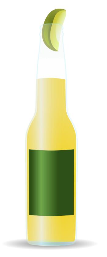 Light beer bottle vector image