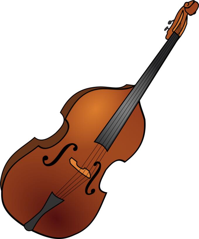 Vector image of double bass instrument
