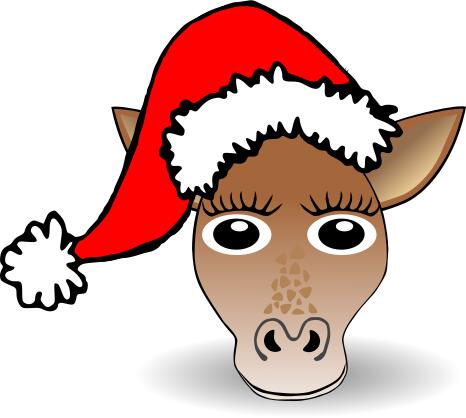 Funny Giraffe vector image