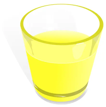 Glass vector image