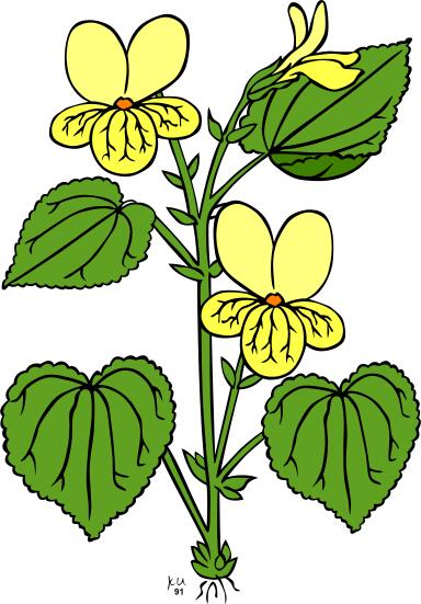 Stream violet flower clip art