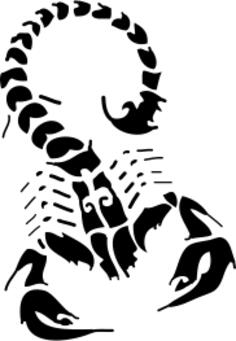 black scorpion
