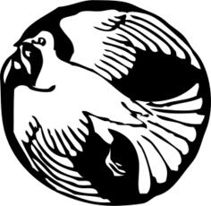 dove in circle