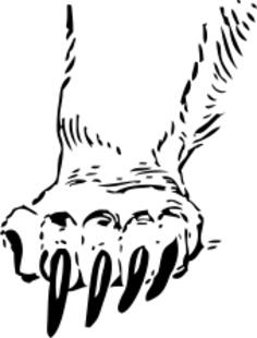 grizzly paw