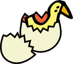 chick from egg