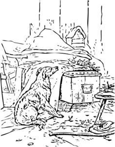 waiting dog