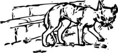 ugly cat