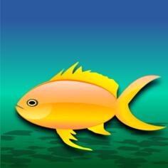 Pez dorado (gold fish)