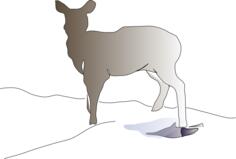 Deer Clipart