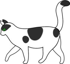 white cat walking