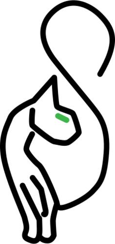 stylized kitty cat