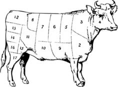 ox