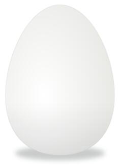 Egg