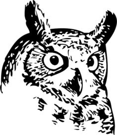 great owl