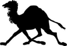 camel silhouette