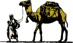 camel