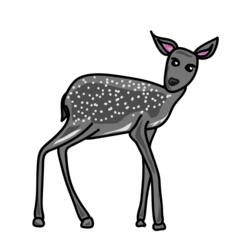 Deer Grey