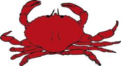 crab